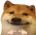 Emoji dogeshy.png